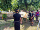 LOMBA PENJOR HIAS DALAM RANGKA HUT KOTA SINGARAJA 